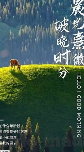 91麻豆影院免费观看-走在灰色边缘的诱惑，91麻豆影院之迷雾探寻