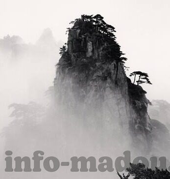 福利一区二区大-福利一区二区，探索社区发展的新维度
