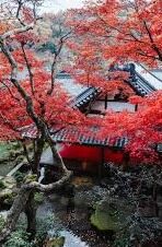 麻豆国产卡1卡2卡3视频-重拾乡土记忆，从麻豆文化看国产卡1省的小镇故事