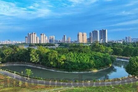 糖心app下载汅api-探秘糖心app的下载与汅api功能，一个使用者的真实感受与指引
