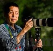 亚洲无码人妻在线-探索亚洲文化与网络现象，无码人妻内容的背后