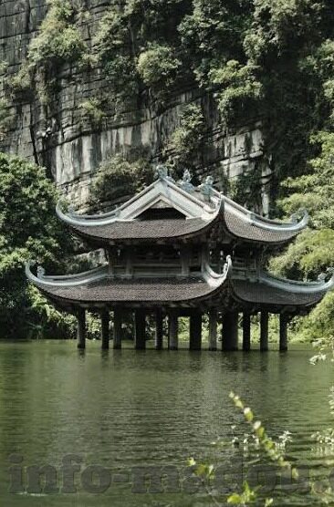在线av日韩高清无码-探索在线AV日韩高清无码的多元视角，从文化、艺术到技术